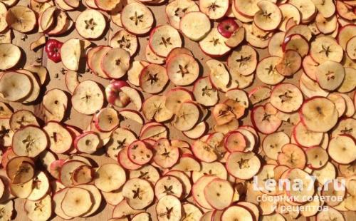 Как сушить яблоки на зиму в духовке. Сушка яблок естественным способом