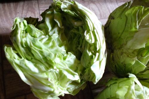 Как сохранить капусту свежей до весны