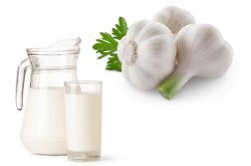 Срок годности настойки чеснока на водке. Как приготовить — 5 рецептов и схемы приема