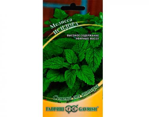 Мелисса сорта. Виды и сорта мелиссы