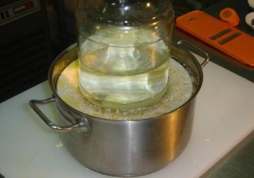 Рецепт солить капусту с яблоками. Классический рецепт с яблоками