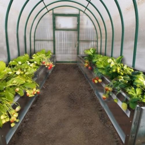 Как сушить яблоки в сушилке. Сушка яблок в духовке 12