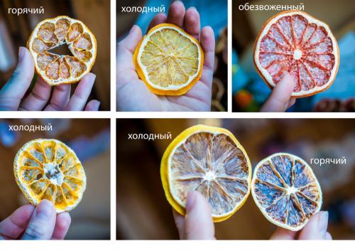 Как сушить яблоки для декора. Сушим цитрусовые дольки для поделок. Три способа.