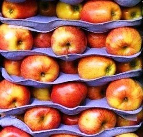 Как хранить яблоки на зиму в квартире. Как сохранить яблоки до весны или даже до следующего урожая свежими – лучшие способы хранения