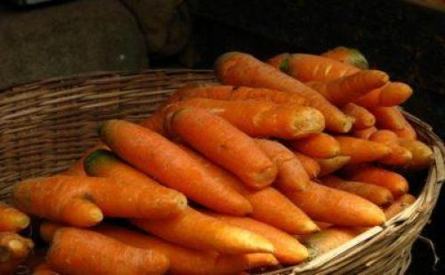 Хранение моркови в мешках из под сахара. Способы хранения