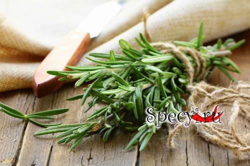 Куда добавляют розмарин. Розмарин