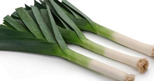 Лук порей польза. Лук порей — польза и вред зеленого овоща