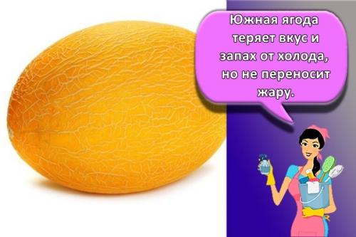 Можно ли мыть овощи перед хранением. Как и где лучше хранить овощи в домашних условиях, правила и выбор температуры