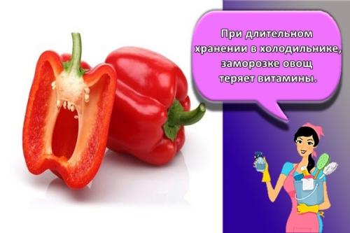 Можно ли мыть овощи перед хранением. Как и где лучше хранить овощи в домашних условиях, правила и выбор температуры