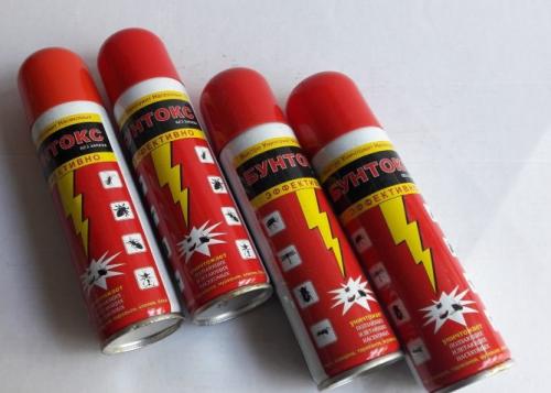 Дрозофилы живут сколько. Размножение и сколько живет дрозофила 04