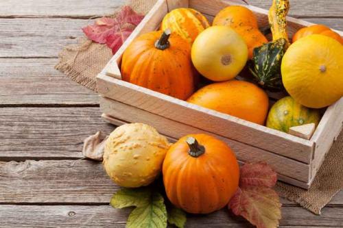 Как правильно хранить тыкву в домашних условиях