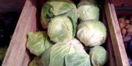 Как хранить капусту. Места и способы