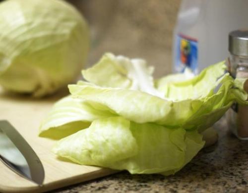 Квашеная капуста с яблоками в ведре. Рецепт классический, часть теоретическая: квасим капусту с яблоками без ошибок