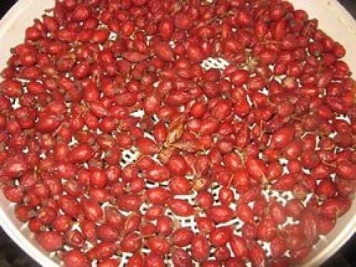 Как сушить шиповник на нитке. Как сушить шиповник