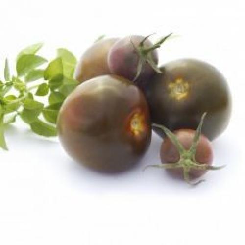 Томат Черный принц отзыв. Томат Черный принц: описание сорта, уход, фото, отзывы