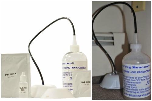 Как поймать клопа. Изготавливаем приспособления для ловли клопов своими руками