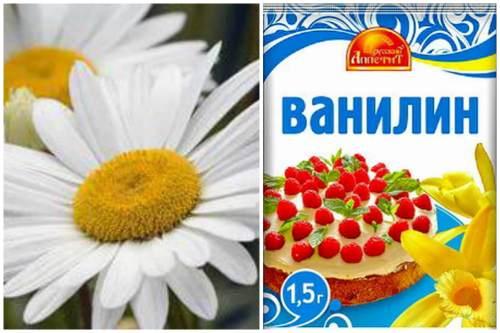 Как поймать клопа. Изготавливаем приспособления для ловли клопов своими руками