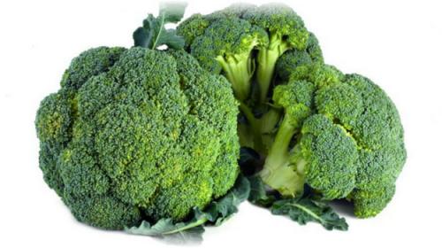 Как хранить капусту брокколи. Хранение капусты брокколи, выбор и заморозка