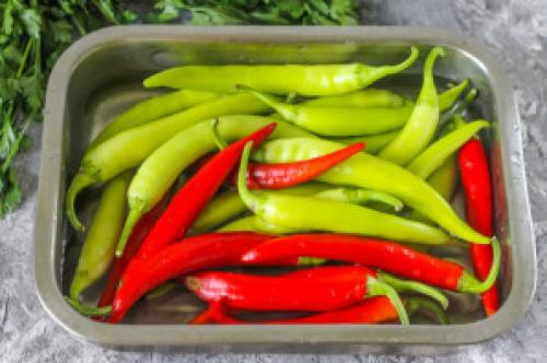 Горький перец на зиму без стерилизации. Маринованный горький перец на зиму