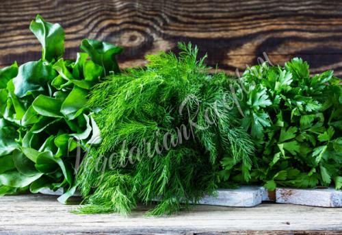 Какие овощи можно замораживать на зиму и как