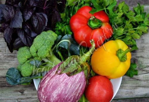 Какие овощи можно замораживать на зиму и как