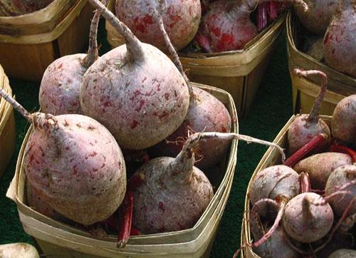 Как сохранить морковь на зиму в погребе. Какими методами можно хранить морковь? 09 Как сохранить морковь на зиму в погребе. Какими методами можно хранить морковь? 09