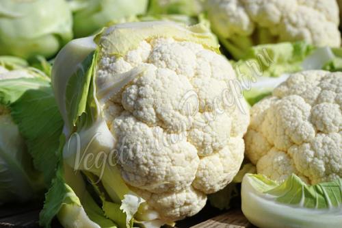 Какие овощи можно замораживать на зиму и как