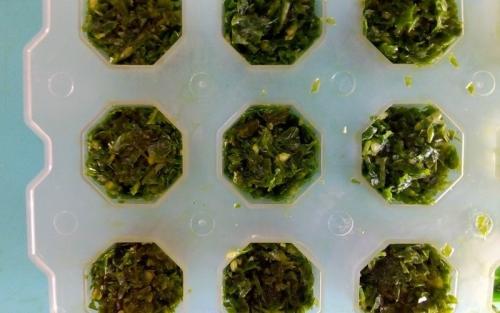 Чеснок, как заморозить. Как заморозить чеснок