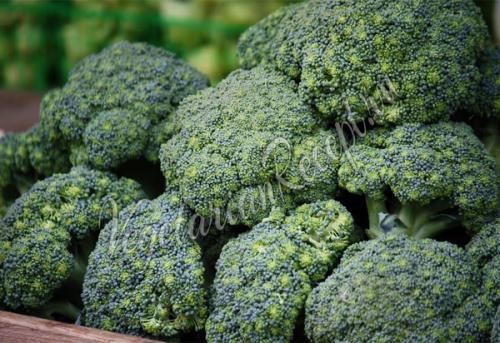 Какие овощи можно замораживать на зиму и как