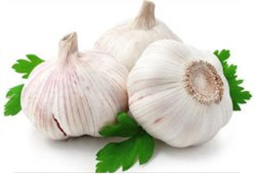 Как хранить озимый чеснок в домашних условиях в квартире. Подготовка чеснока 05