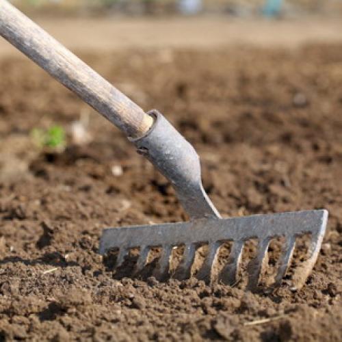 Борьба с садово-огородными вредителями. Подземные вредители сада и огорода 26 Борьба с садово-огородными вредителями. Подземные вредители сада и огорода 26