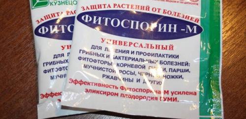 Борьба с садово-огородными вредителями. Подземные вредители сада и огорода 10 Борьба с садово-огородными вредителями. Подземные вредители сада и огорода 10
