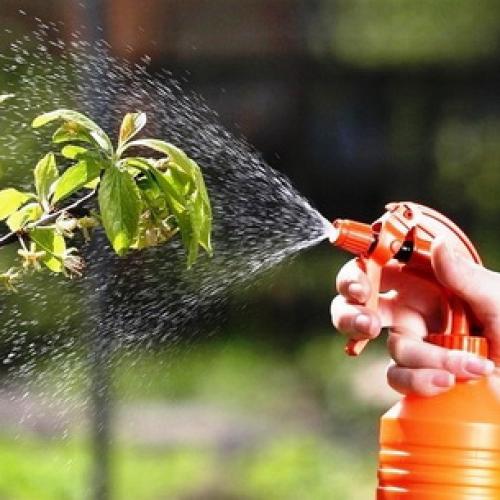 Борьба с садово-огородными вредителями. Подземные вредители сада и огорода 25 Борьба с садово-огородными вредителями. Подземные вредители сада и огорода 25