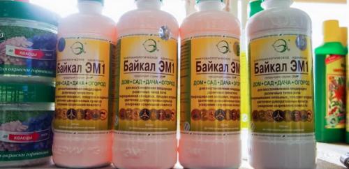 Борьба с садово-огородными вредителями. Подземные вредители сада и огорода 12 Борьба с садово-огородными вредителями. Подземные вредители сада и огорода 12