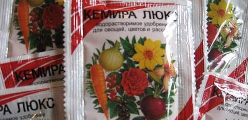 Борьба с садово-огородными вредителями. Подземные вредители сада и огорода 16 Борьба с садово-огородными вредителями. Подземные вредители сада и огорода 16