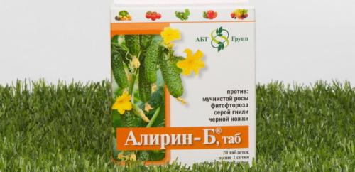 Борьба с садово-огородными вредителями. Подземные вредители сада и огорода 09 Борьба с садово-огородными вредителями. Подземные вредители сада и огорода 09