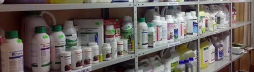 Эффективное средство от садовых вредителей. Эффективные препараты для обработки сада и огорода