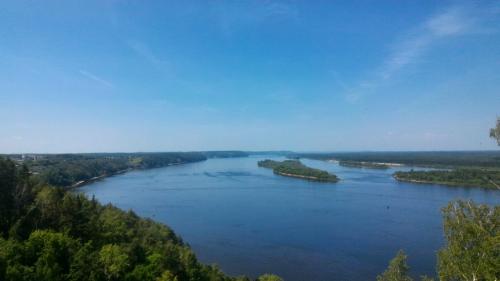 Этимология слова икра. Из какого языка слово икра?