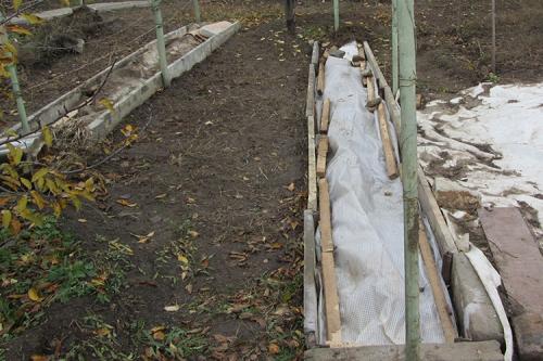 Как подготовить виноград к зиме на урале. Все способы укрытия винограда на зиму + сроки для каждого региона