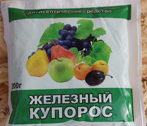 Подготовка винограда к зиме украина. Осенняя обработка и опрыскивание винограда
