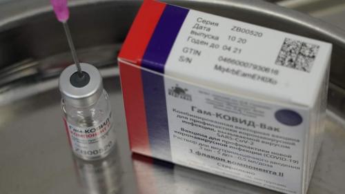 Как правильно привить яблоню на дичку: советы для начинающих 07