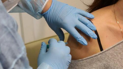 Как правильно привить яблоню на дичку: советы для начинающих 08