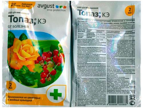 Чем обработать яблони и груши от парши. Средства системного действия