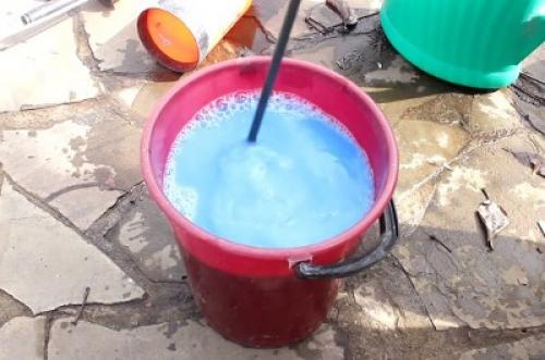 Осенняя обработка груши от ржавчины. Лечение