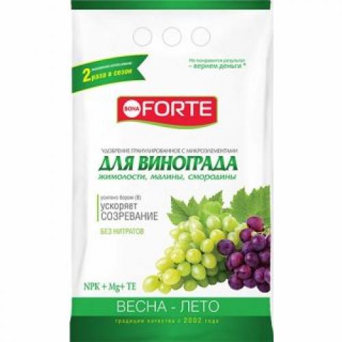 Что нужно сделать перед пересадкой винограда на новое место. Выбор места посадки