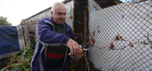 Уход за виноградом осенью. Виноград: как защитить от болезней и подготовить к зиме. Рассказывает известный агроном Петр Ломоно. 2021,nbsp11:23nbsp /nbsp