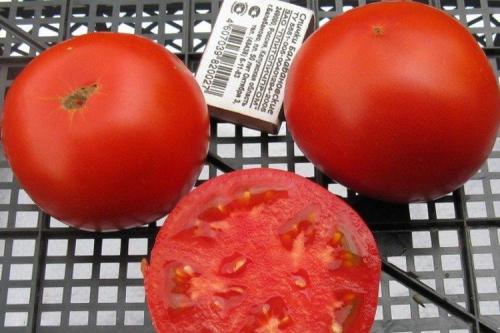 20 лучших сортов томатов. Лучшие сорта томатов для открытого грунта: фото, названия и описания (каталог)