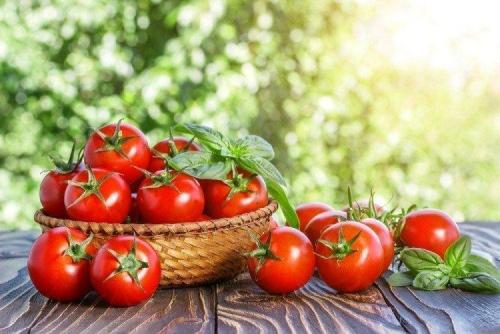 Ультраранние сорта низкорослых томатов. Низкорослые томаты: лучшие сорта с фото и названиями (каталог)
