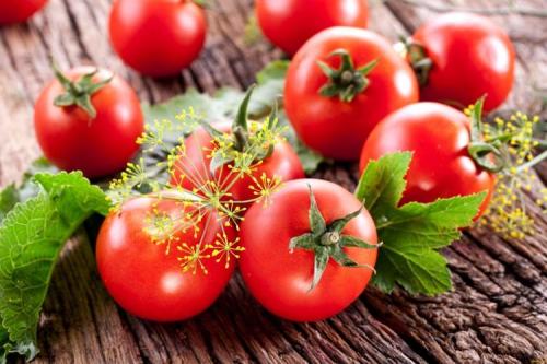 Описание сортов томатов для теплиц. Лучшие сорта томатов для теплиц: фото, названия и описания (каталог)