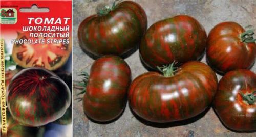 Самые высокоурожайные сорта томатов для теплиц. Самые вкусные томаты для теплицы и гибриды